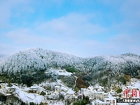 湖北现“林海雪原” 银装素裹风景如画