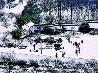 美哭！雪花漫天舞 荆楚入画来