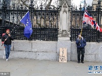 英国：“脱欧”支持者与反对者在议会大厦外抗议 