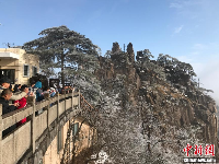 黃山迎來(lái)今冬第三場(chǎng)雪 云海霧凇壯美景觀齊現(xiàn)