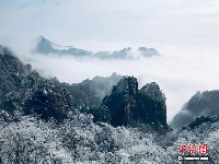 黄山迎来今冬第三场雪 云海雾凇壮美景观齐现