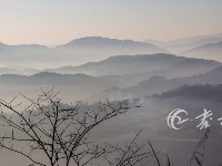 薄雾中的竹溪马鹿山 美若画卷