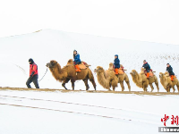古郡敦煌迎新年初雪