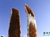 马马尼“冰雪远征”记：牧民皮毛滑雪穿越阿尔泰山