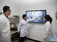 我国科学家创建世界首例生物节律紊乱体细胞克隆猴模型