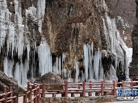 河南云台山现冰瀑景观