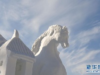 第六届全国大学生雪雕比赛在太阳岛落幕 