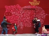 字字“猪”玑迎新春