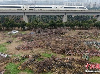 航拍南京一停车场 共享单车堆积密密麻麻