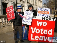 英国：“脱欧”支持者与反对者在议会大厦外抗议 