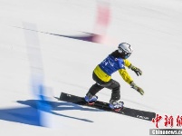 青年运动员驰骋雪场上演“速度与激情”