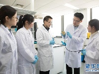 我国科学家创建世界首例生物节律紊乱体细胞克隆猴模型