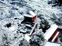 美哭！雪花漫天舞 荆楚入画来