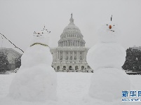 华盛顿降暴雪 