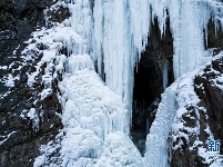 冬季北山的“林海雪原”