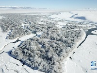 新疆昭苏：冰雪胜境