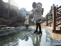 青瓷故乡重现千年瓷韵