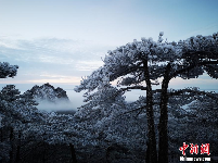 黃山迎來(lái)今冬第三場(chǎng)雪 云海霧凇壯美景觀齊現(xiàn)