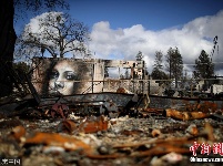 废墟上的另类生机 美国山火重灾区现逼真壁画