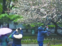 别样情趣春雨中