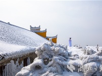 雪后初霁 红安天台山分外娇娆