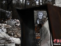 废墟上的另类生机 美国山火重灾区现逼真壁画