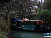 西溪湿地：早春时节 曲水寻梅