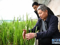 黑土地上书写“春天的答卷”——黑龙江落实习近平总书记全国两会重要讲话精神纪实 