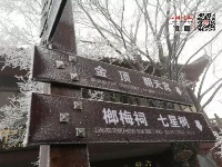 雪来了！十堰武当山一下美成了玄岳