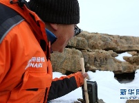 中国首次利用红外相机自动监测南极雪海燕