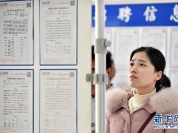 求职忙