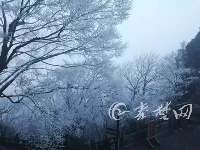 雪来了！十堰武当山一下美成了玄岳