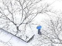 春节前夕 全国多地迎来降雪天气