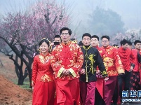万亩红梅迎春来 