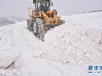 千里驰援——京豫川等地援助青海玉树雪灾区