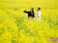 贵州兴义万峰林万亩油菜花竞相开放 