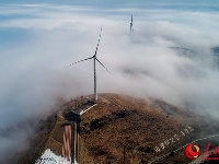 宜昌百里荒遇罕见云海奇境