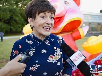 新西兰奥克兰举办盛大元宵灯节 