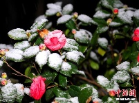 全国多地迎来降雪天气