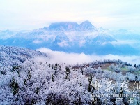 五峰现“冰晶森林”冬景 如梦如幻似童话世界