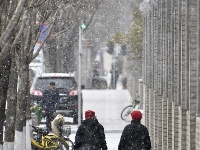 北京迎来猪年首场降雪