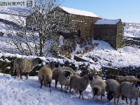 英国大部分地区迎降雪 近千所学校停课