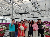 “台湾兰花”安家十堰,花开茅箭成一景!