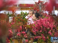 广东深圳：逛花市 迎新春