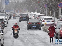 北京降雪 大地一片银装素裹