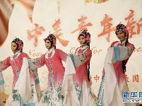 中美青年共庆新春