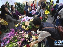 广东深圳：逛花市 迎新春