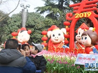 武汉解放公园花卉展 | 游园贺新春