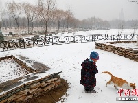 元宵节北京迎降雪