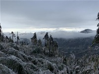 九宫山110千伏覆冰受损线路抢通